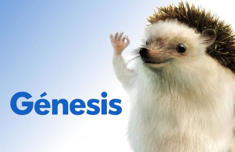 Cómo darse de baja en Génesis Seguros